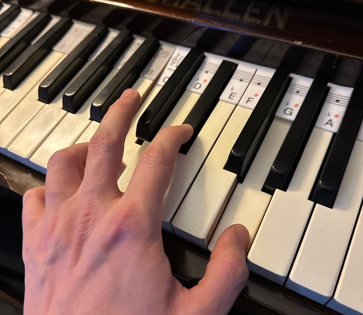 How I’m going to learn piano. A beginners guide to beginning.