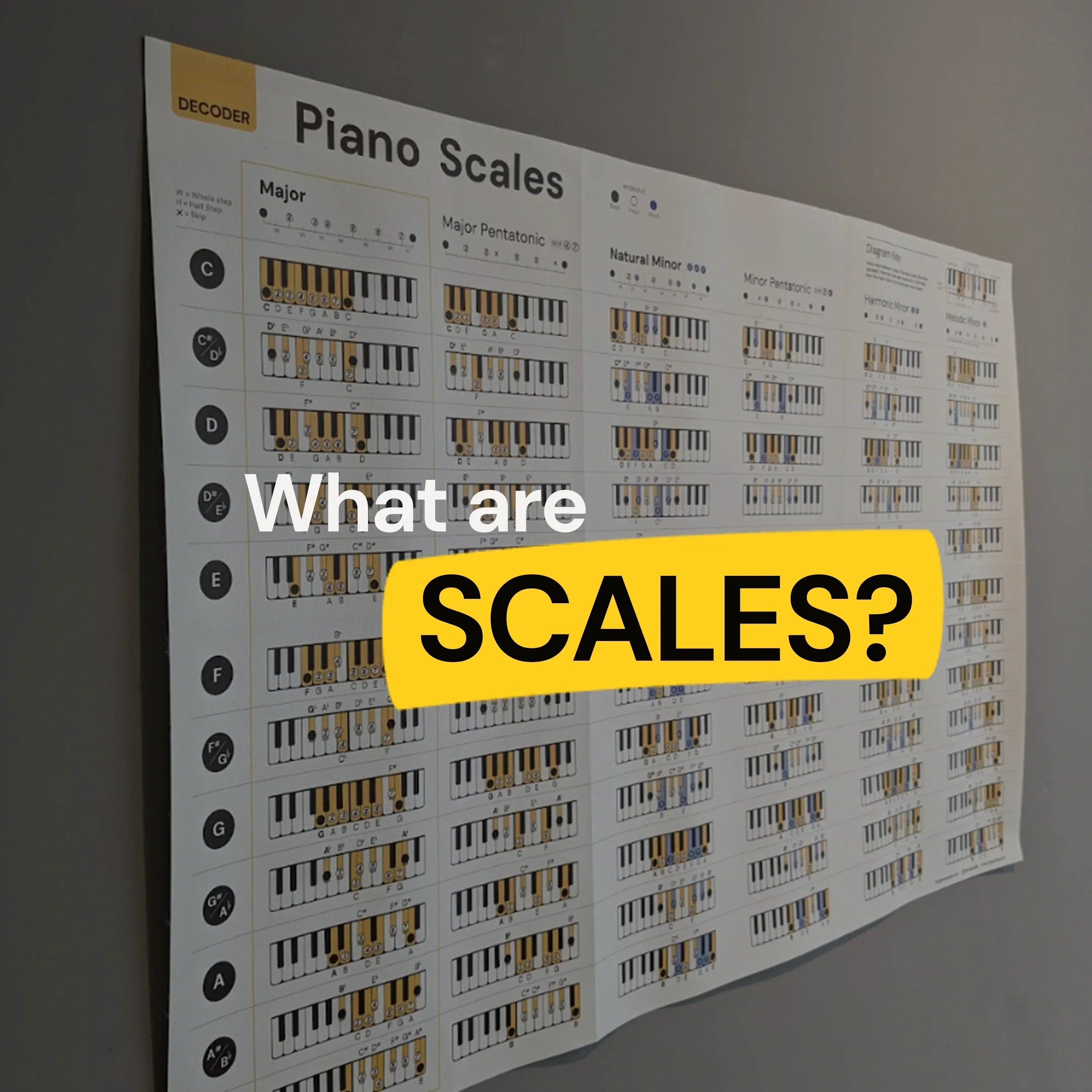 What are Scales?