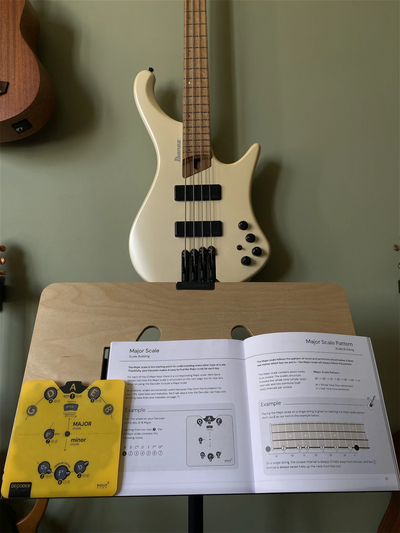 Bass Circle of Fifths Noisy Clan