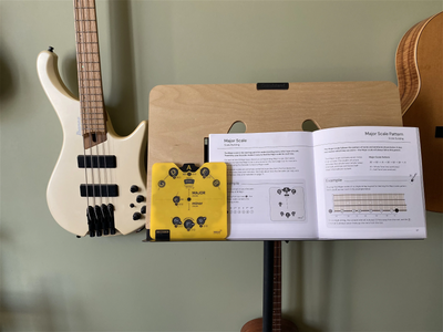 Bass Circle of Fifths Noisy Clan