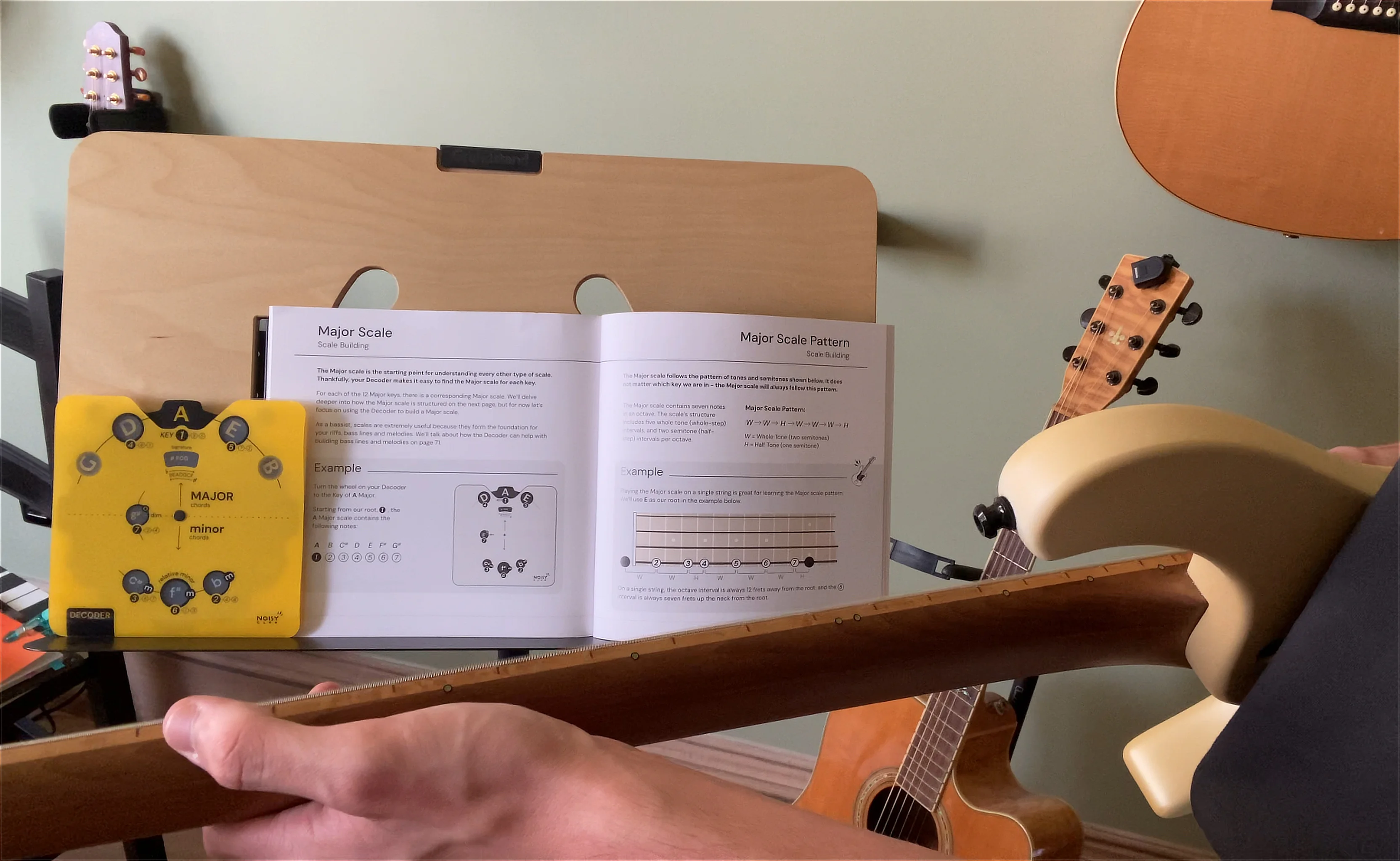 Bass Circle of Fifths Noisy Clan