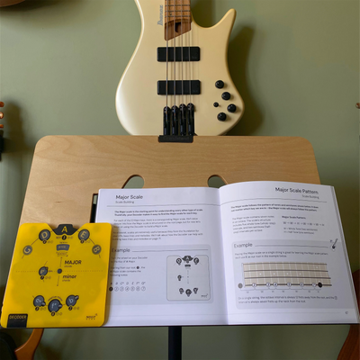 Bass Circle of Fifths Noisy Clan