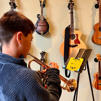 Decoder: Circle of Fifths with Stand Noisy Clan