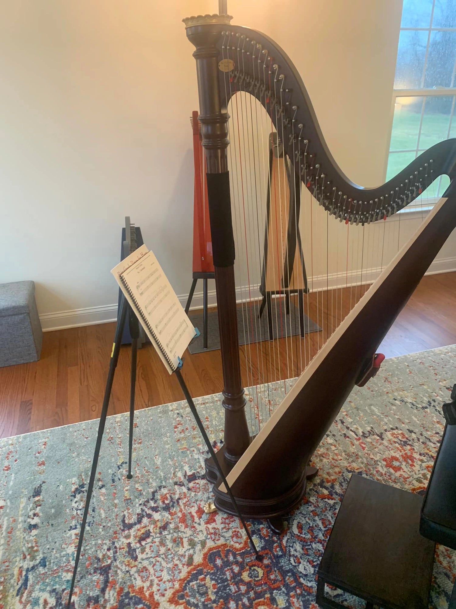 Wee Stand versatile music stand with harp