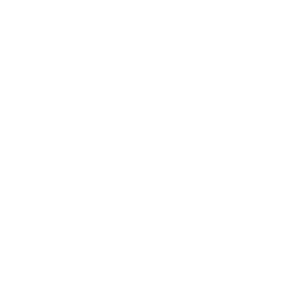 noisy clan logo white